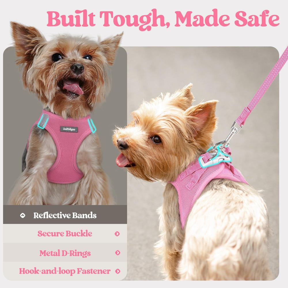 Rabbitgoo back D rings support versatile leash options and safety