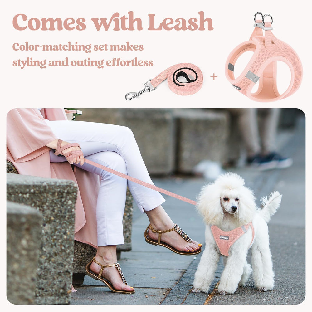 Rabbitgoo back D-rings provide secure leash attachment on the small harness.