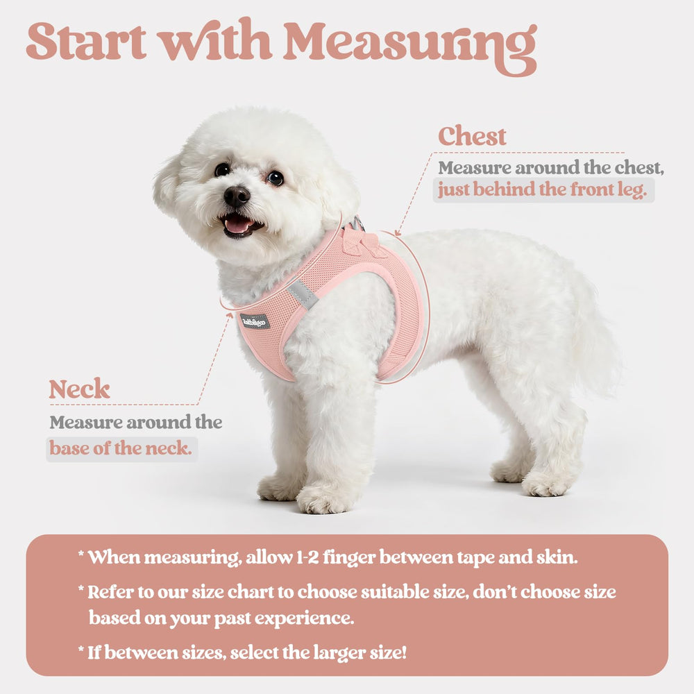 Rabbitgoo breathable mesh harness keeps small dogs cool on outdoor strolls.