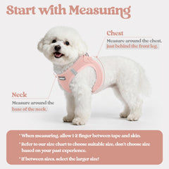 Rabbitgoo breathable mesh harness keeps small dogs cool on outdoor strolls.