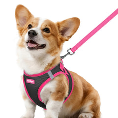 Rabbitgoo small dog harness with breathable mesh improves comfort during daily strolls.