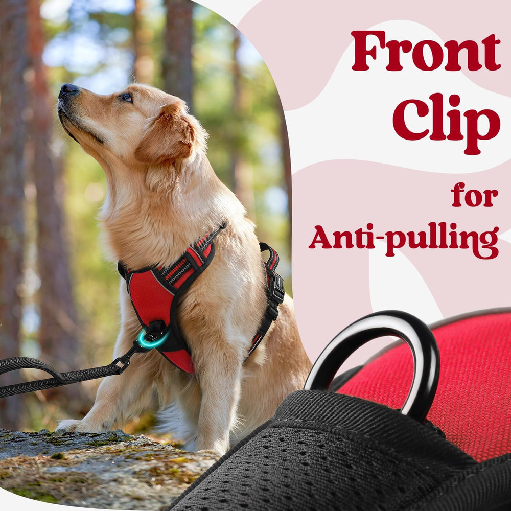 Dual leash attachment points on Rabbitgoo harness for versatility