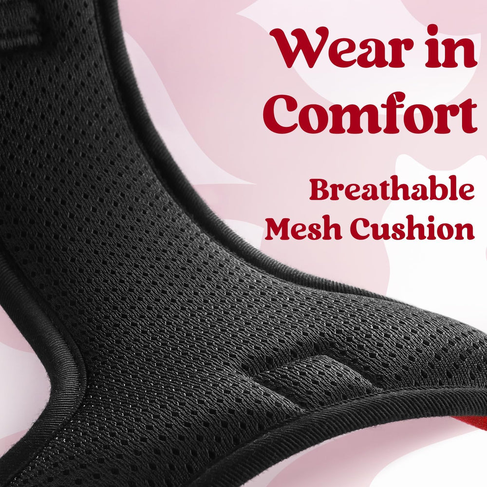 Durable stitching on Rabbitgoo harness for daily adventures