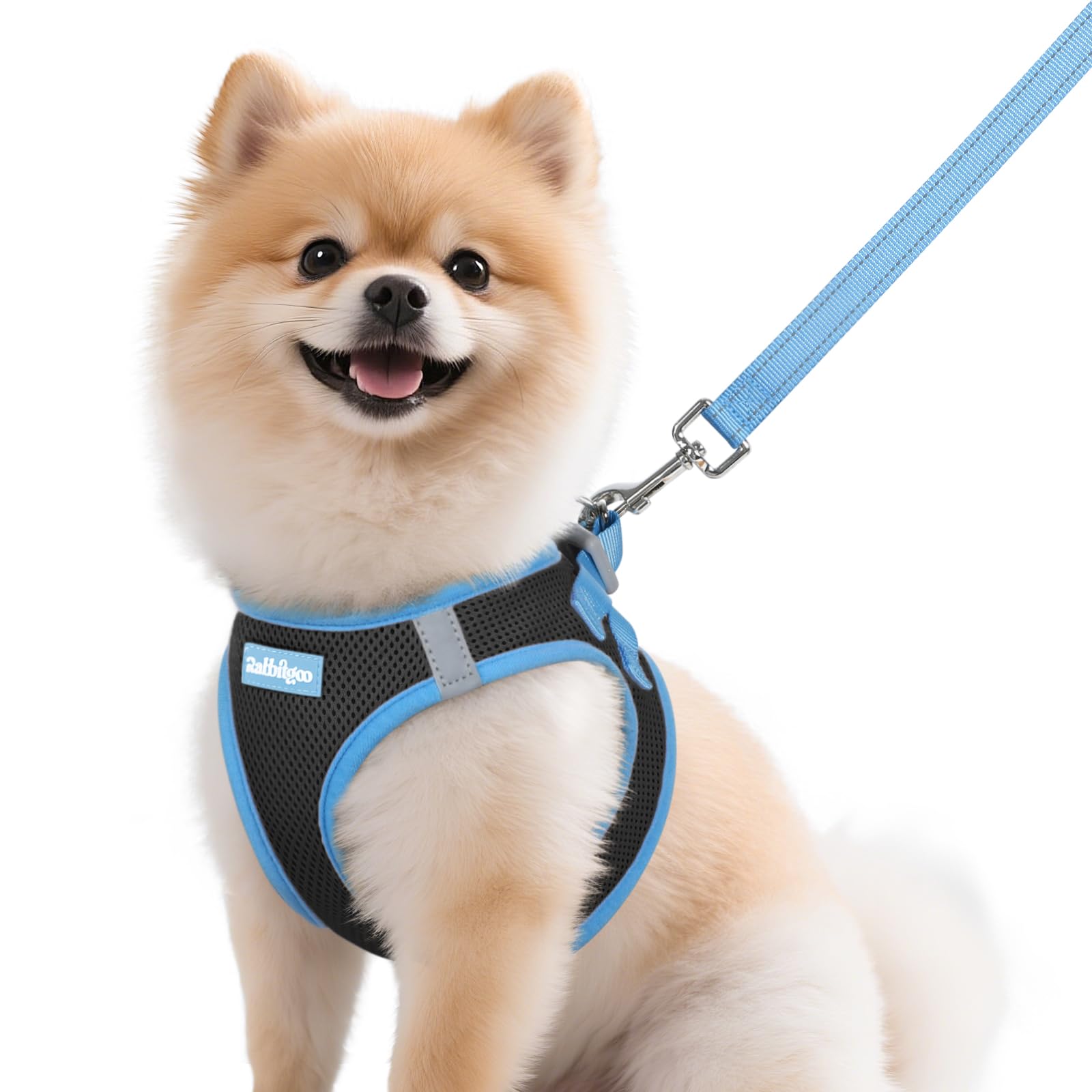 Rabbitgoo dog harness small M with breathable mesh for all-day comfort