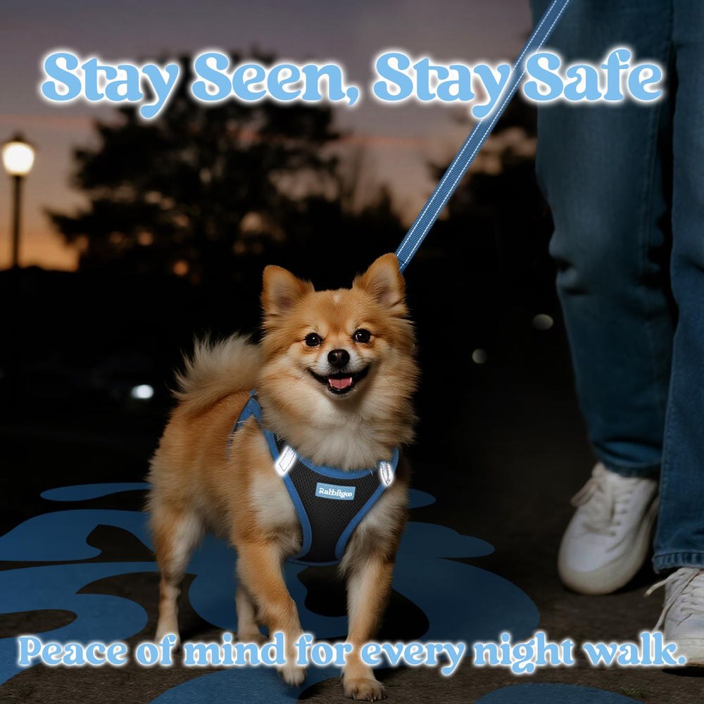 Rabbitgoo harness small M includes leash for coordinated style and convenience