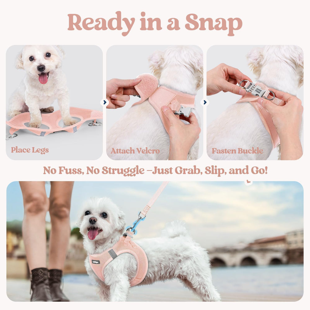 Rabbitgoo puppy-walking setup supports gentle, comfortable outings for nervous pets.