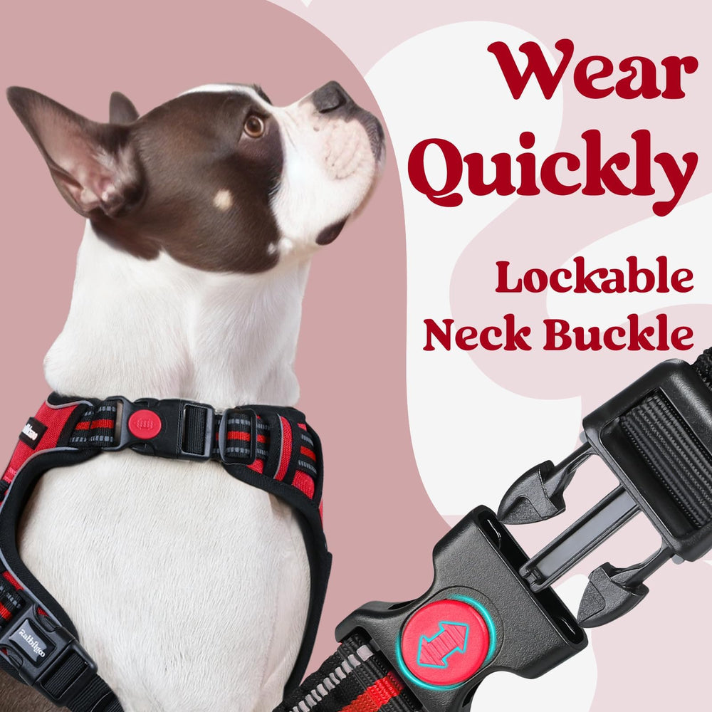 Reflective stitching on Rabbitgoo harness improves night visibility