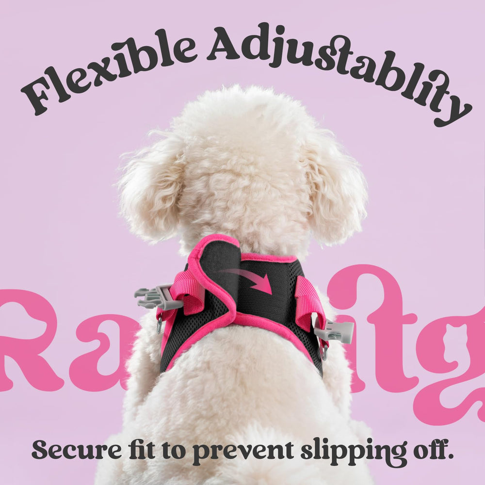 Rabbitgoo cushioned-leash handle provides gentle grip during longer walks.