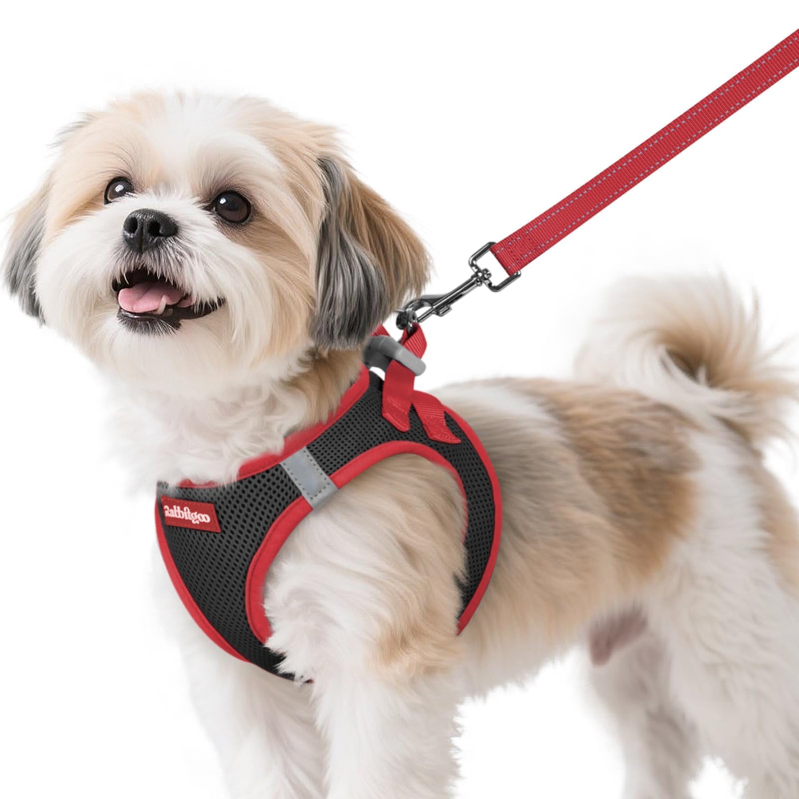 Rabbitgoo small step-in breathable mesh harness for all-day comfort.