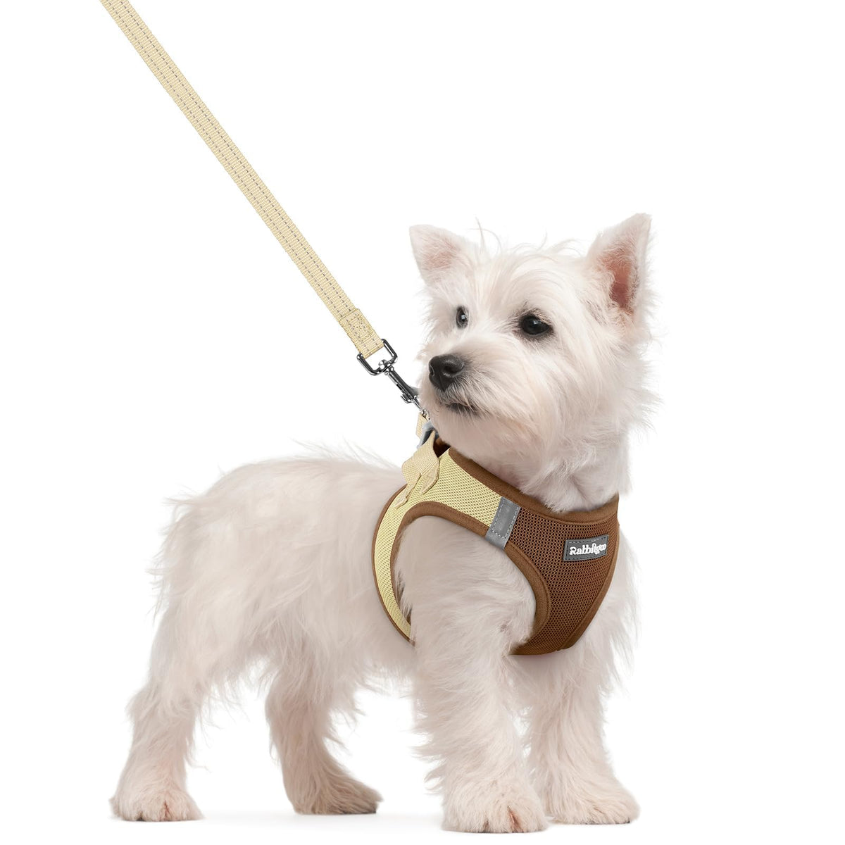 Rabbitgoo small step-in dog harness in brown-beige for easy on-paw wear.
