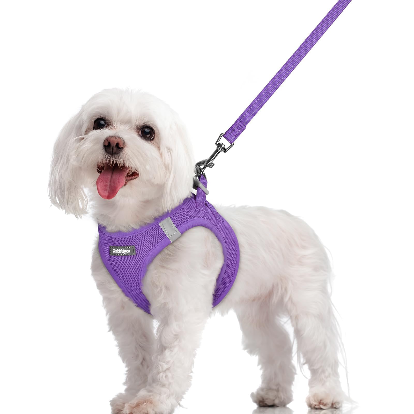 Rabbitgoo step-in harness close-up with breathable mesh for cooler strolls.