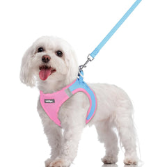 Rabbitgoo dog harness small step-in front view showing easy access and secure fit.
