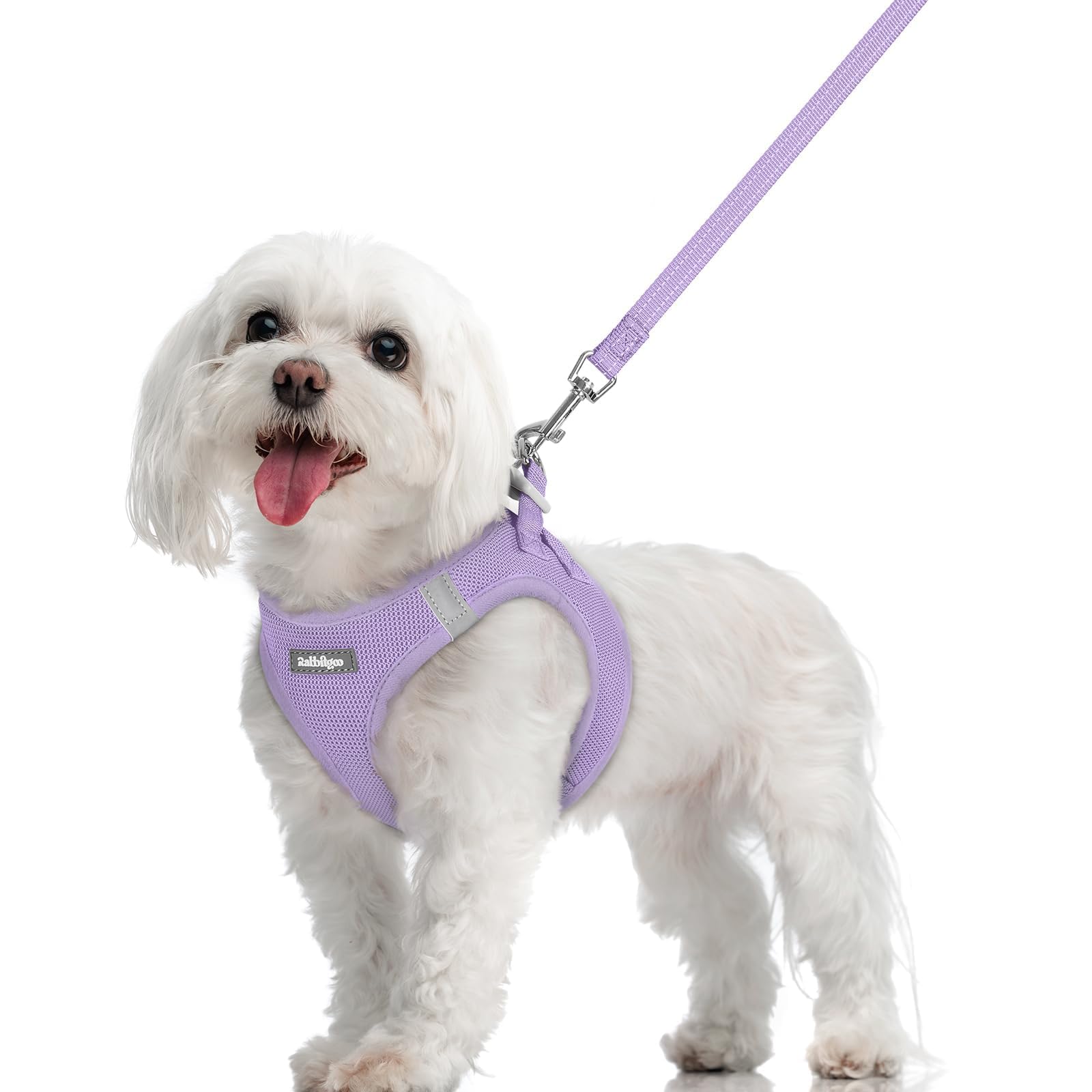 Rabbitgoo dog harness step-in light purple for easy on-off fit and comfort