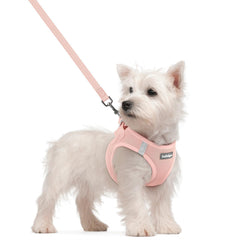 Rabbitgoo small step-in pink harness for quick, mess-free daily walks.