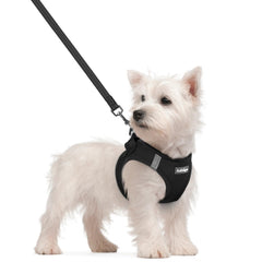 Rabbitgoo dog harness small step-in design for quick, stress-free on-boarding.