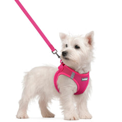rabbitgoo dog harness small step-in design for fast, secure on-paw fitting.