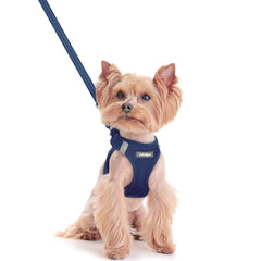 Rabbitgoo step-in harness enables easy on/off during walks.