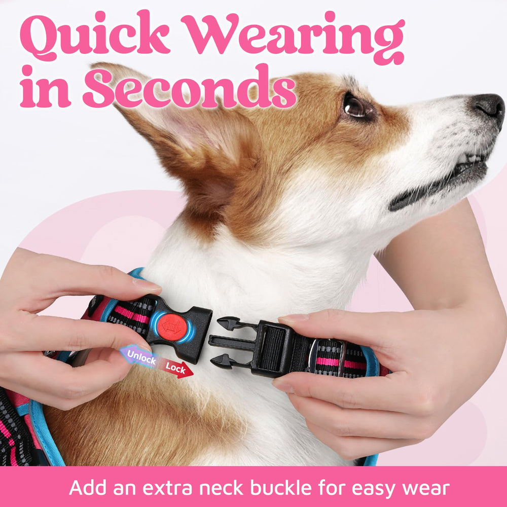 Rabbitgoo soft air mesh harness for comfortable wear in any weather.