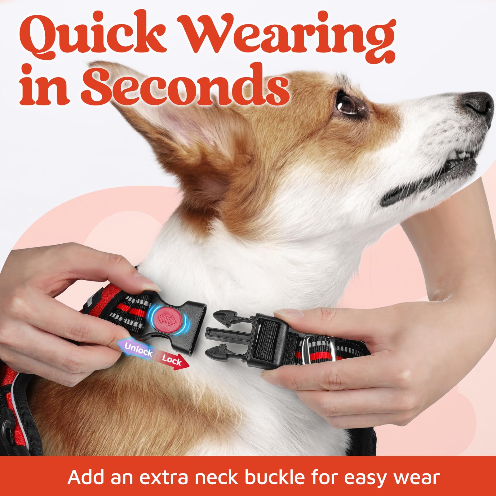 Rabbitgoo harness shows soft air mesh padding for all-day comfort.