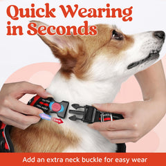 Rabbitgoo harness shows soft air mesh padding for all-day comfort.