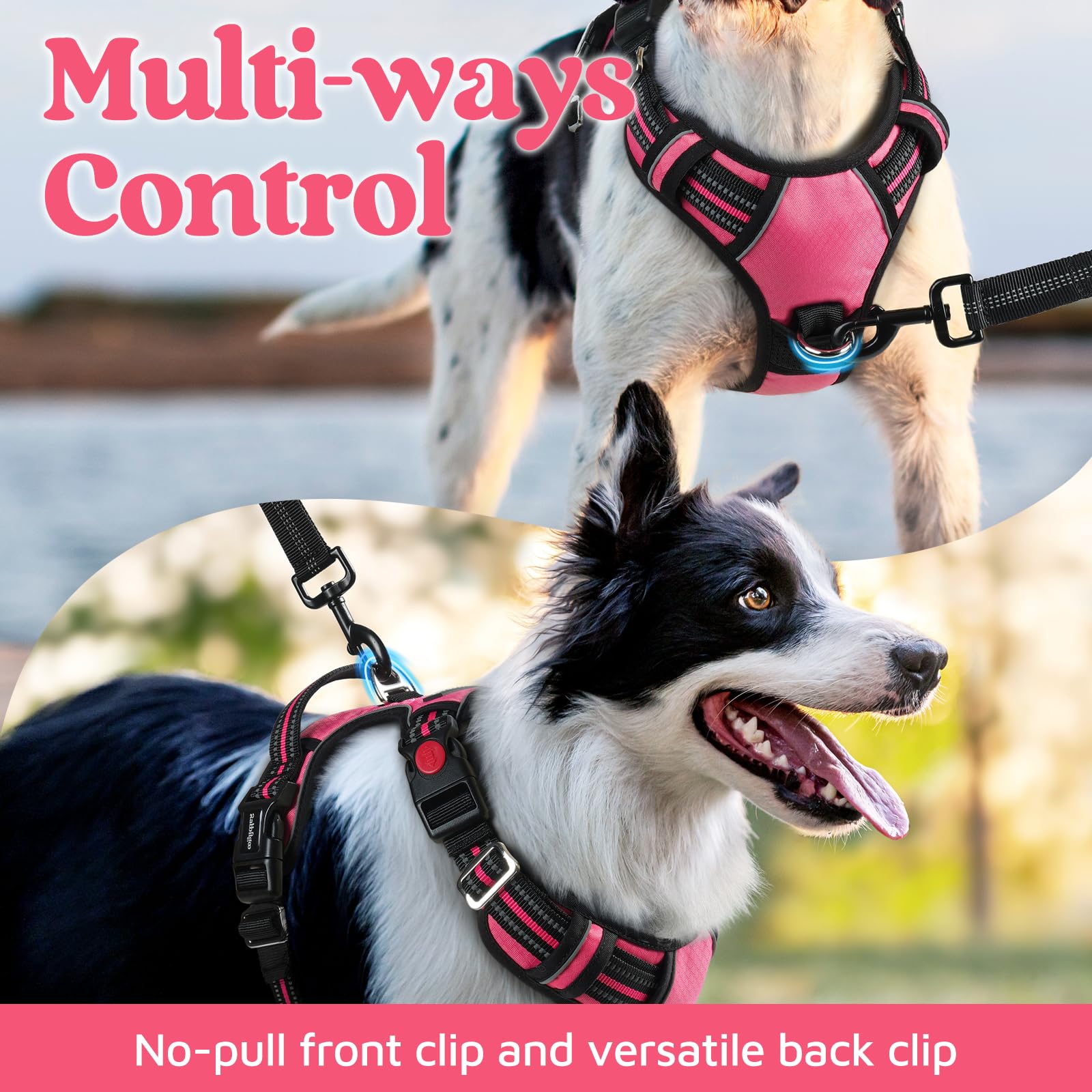 Rabbitgoo harness made of skin-friendly air mesh for year-round comfort.
