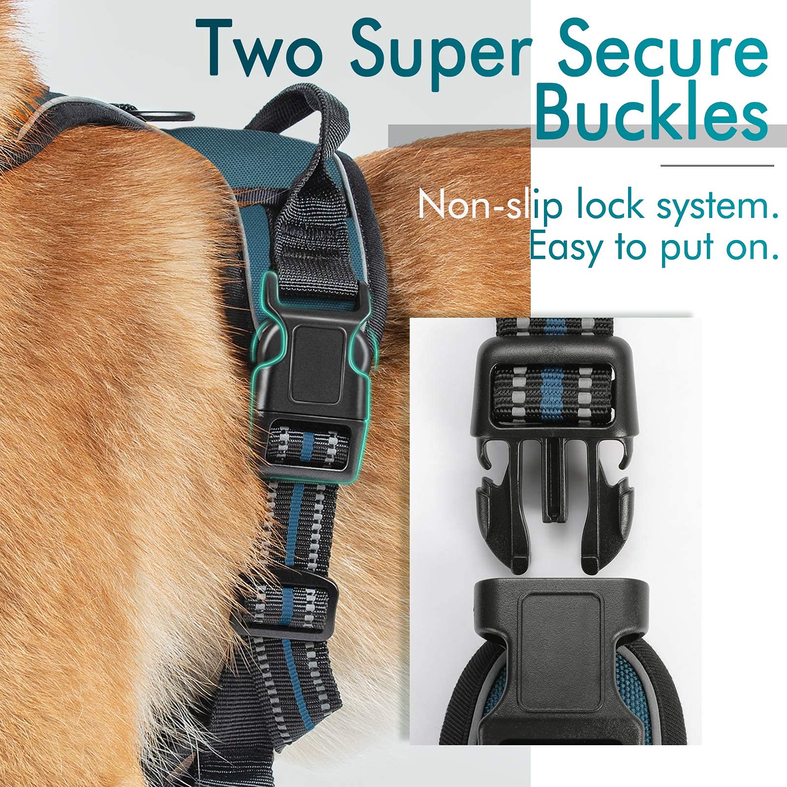 Soft padded chest area detail on Rabbitgoo dog harness for comfort