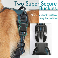 Soft padded chest area detail on Rabbitgoo dog harness for comfort