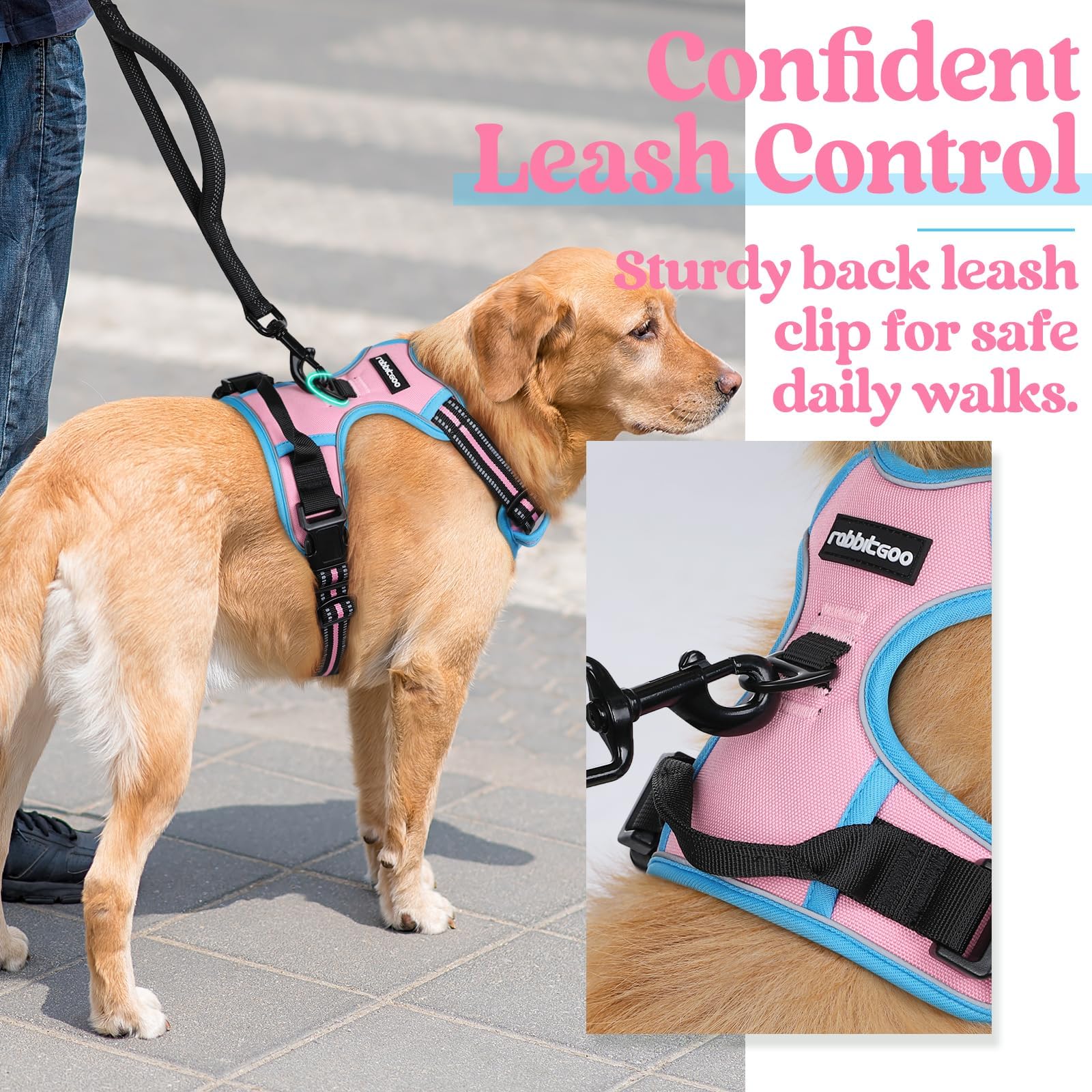 Rabbitgoo padded, breathable mesh keeps your dog comfortable.