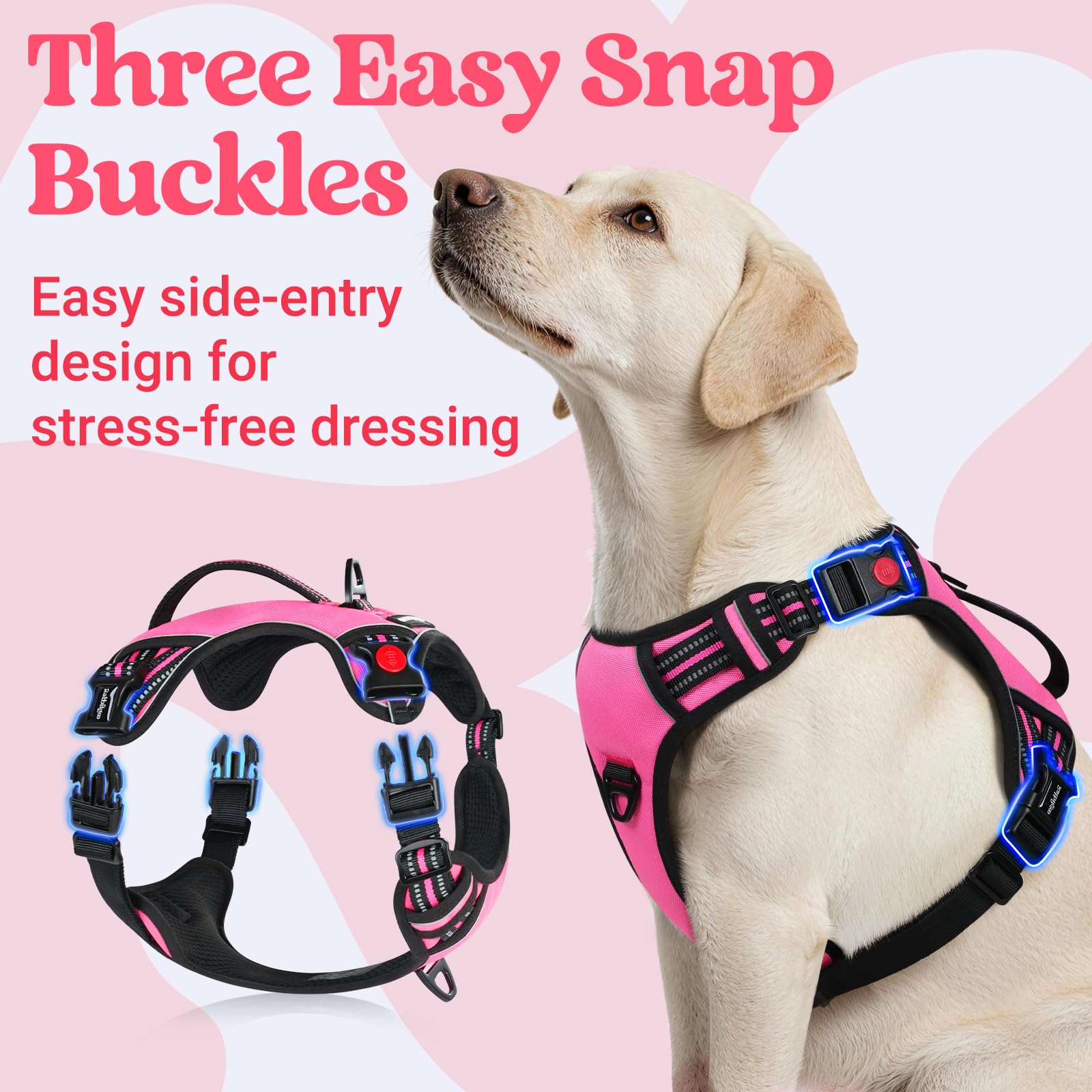 Rabbitgoo dog harness soft-padding offers skin-friendly comfort on long outings