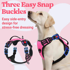 Rabbitgoo dog harness soft-padding offers skin-friendly comfort on long outings