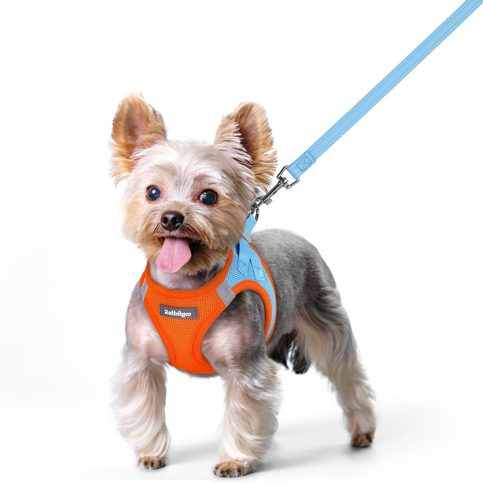 Rabbitgoo dog harness step-in blue XS for quick, comfy fits.