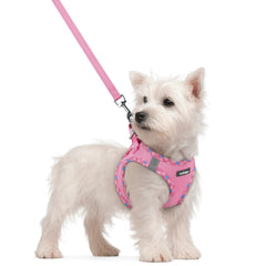 Rabbitgoo dog harness with step-in design for quick, comfortable on-and-off during walks.