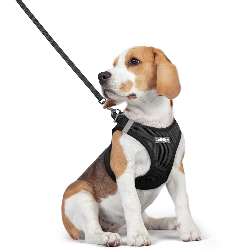 Rabbitgoo step-in dog harness design for effortless wearing and secure fit.
