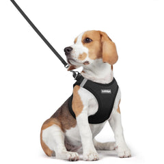 Rabbitgoo step-in dog harness design for effortless wearing and secure fit.