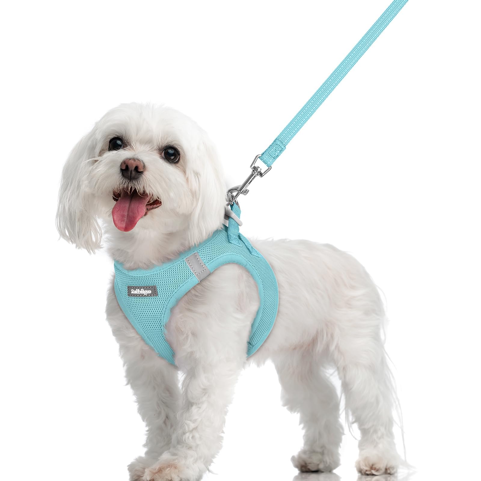 Rabbitgoo Step-In Harness Mint Blue — easy paw-through design for quick, comfortable wear.