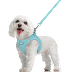 Rabbitgoo Step-In Harness Mint Blue — easy paw-through design for quick, comfortable wear.