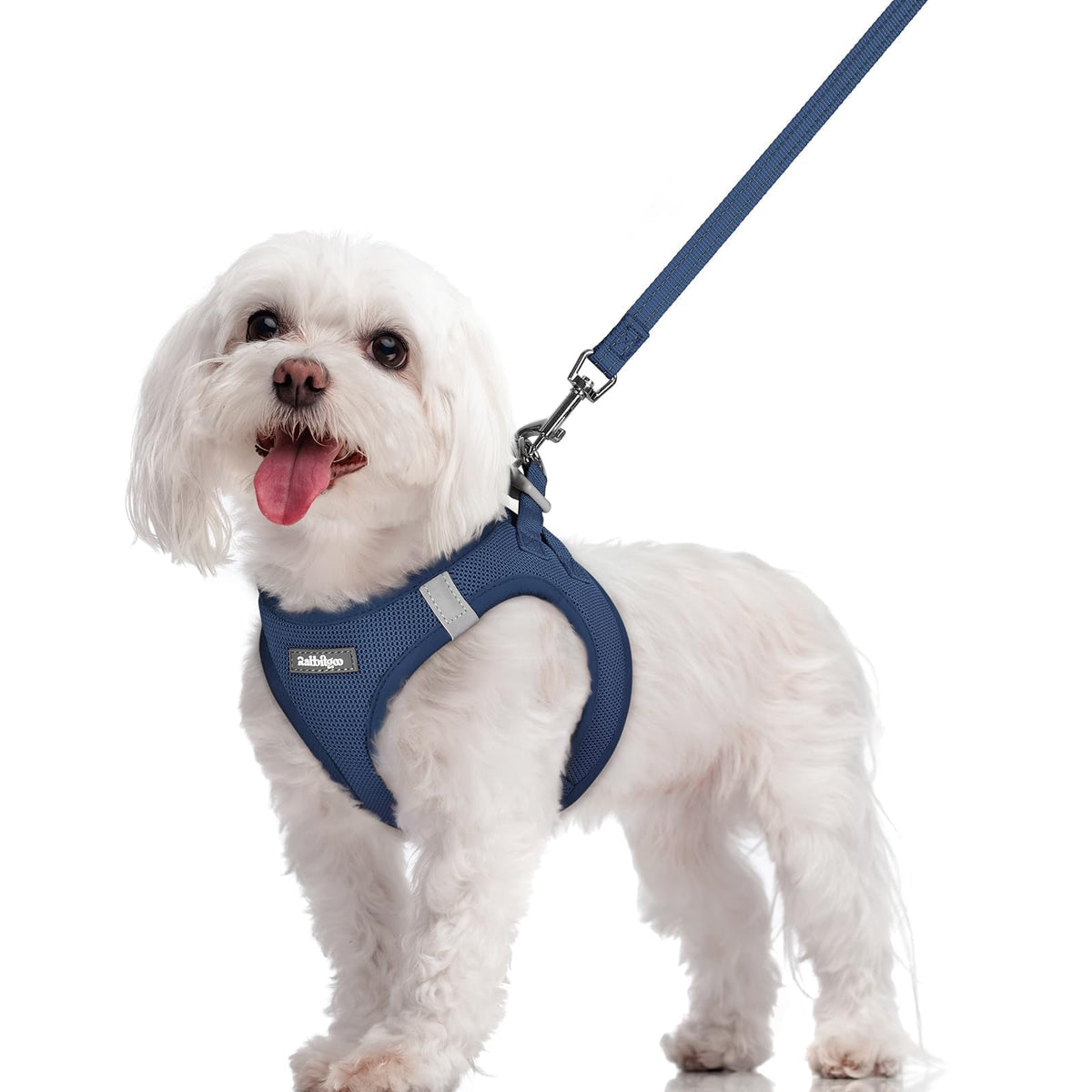 Rabbitgoo step-in dog harness in navy blue enables quick, comfortable fitting for small breeds.