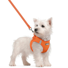 Rabbitgoo step-in harness orange S ready for quick on-the-go walks