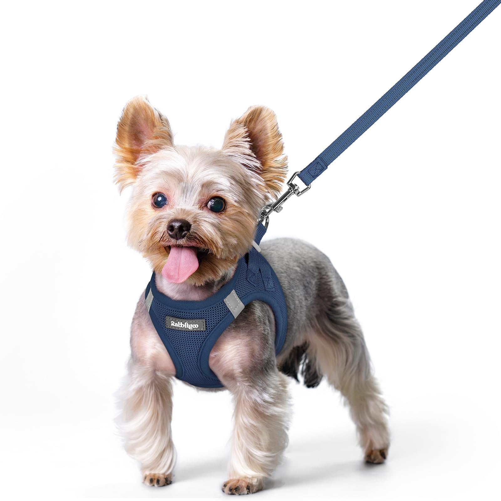 Rabbitgoo dog harness step-in puppy vest with easy fit for small dogs during walks