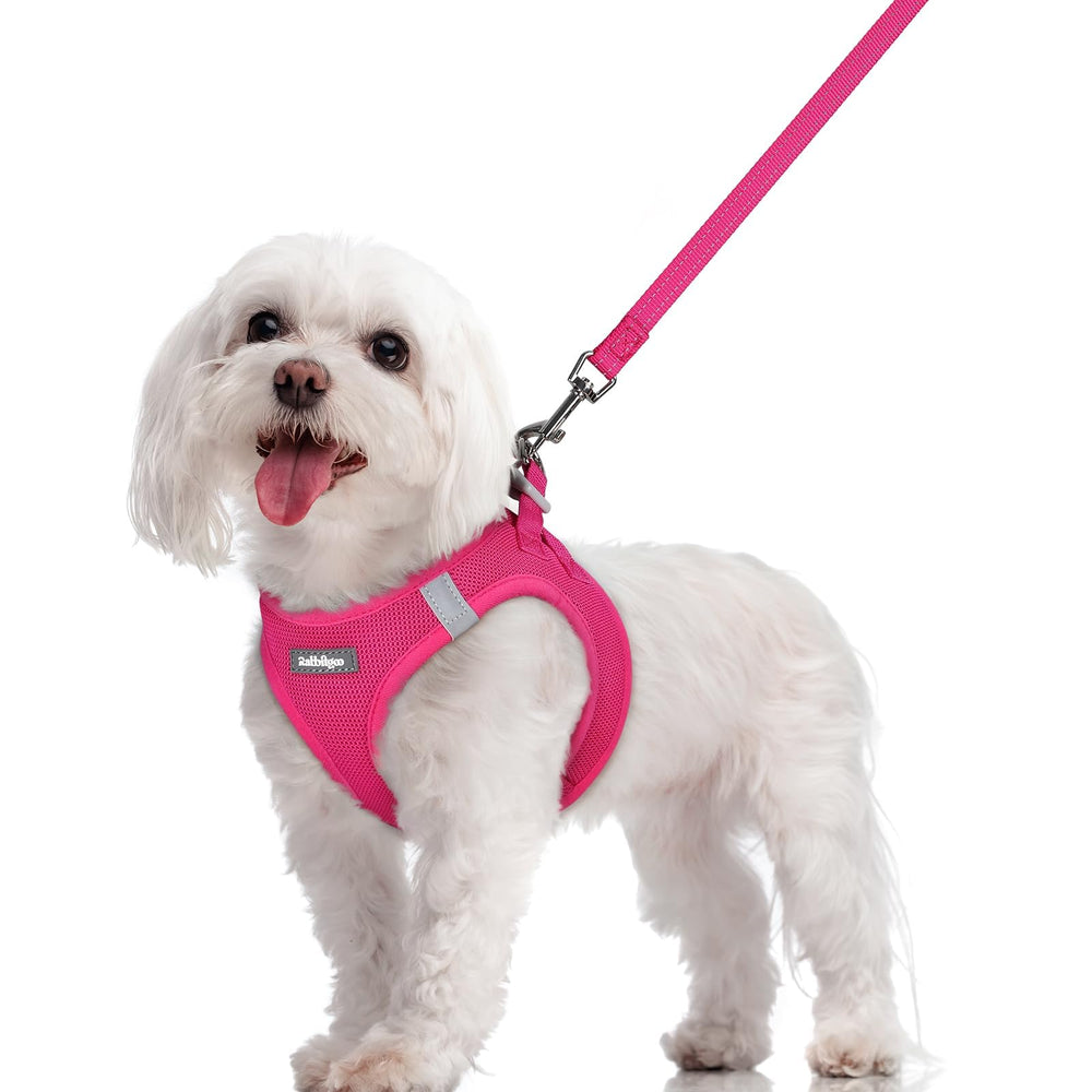 Rabbitgoo dog harness step-in rose red, easy on/off for small dogs.