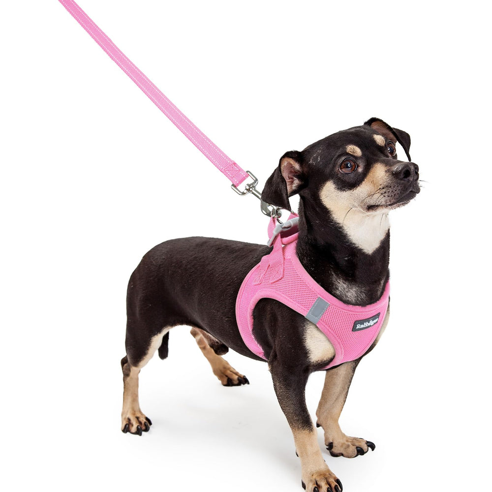 Rabbitgoo XXXS step-in harness on a small dog in light pink