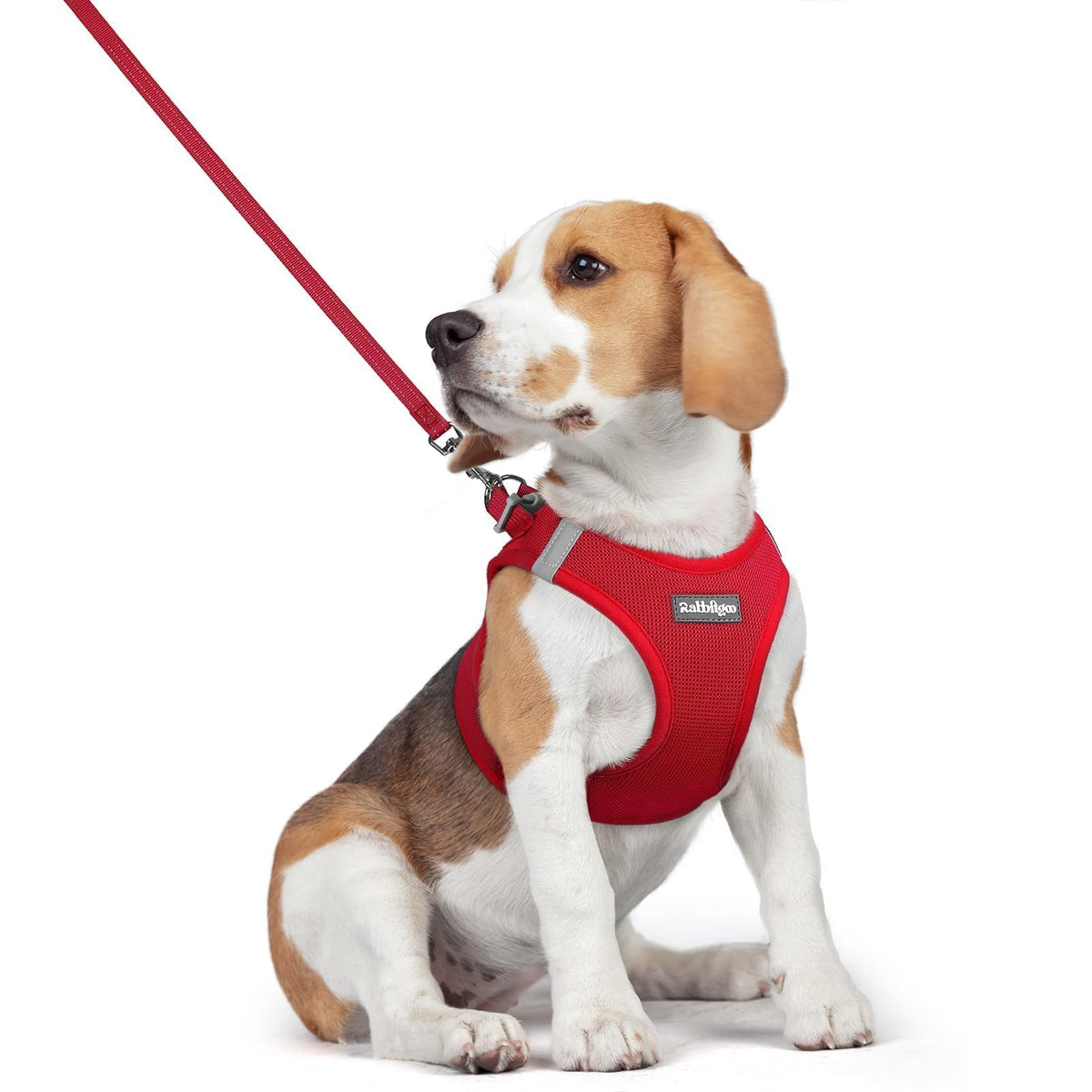 Rabbitgoo step-in dog harness shown for quick, secure everyday wear