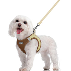 Rabbitgoo dog harness step-in design for quick, secure fitting