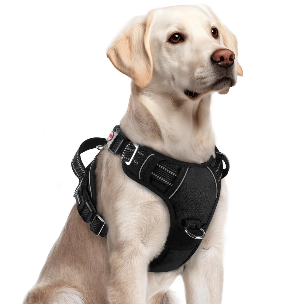 Rabbitgoo dog harness front view with three buckles for quick, no-pull control