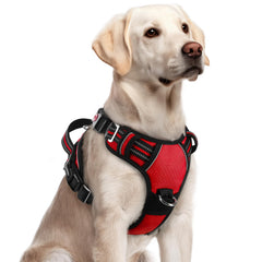 Rabbitgoo dog harness with three buckles for quick secure wear.
