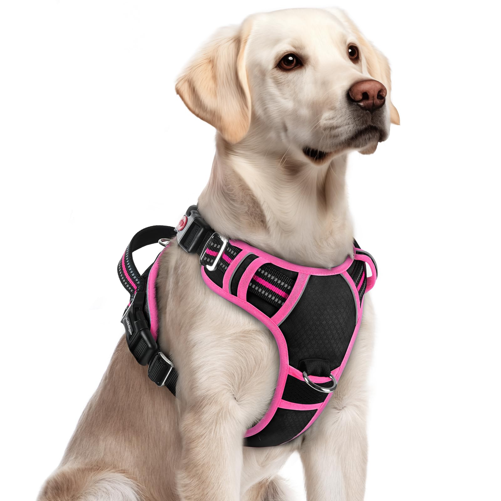 Rabbitgoo dog harness with three buckles for quick on/off and secure fit.
