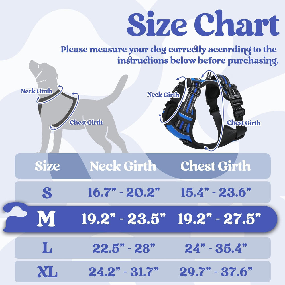 Rabbitgoo harness with three buckles enables quick on and off.