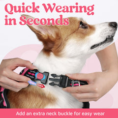 Rabbitgoo harness with three buckles for quick on/off dressing.