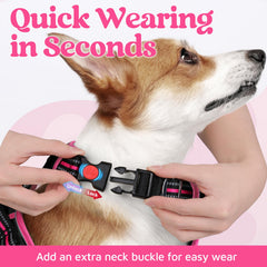 Rabbitgoo harness with three buckles for quick, secure fitting.