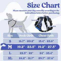 Rabbitgoo harness with three buckles enables quick on and off.